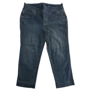 Style & Co | Pull-On Capri Jeans | Size Large | EUC